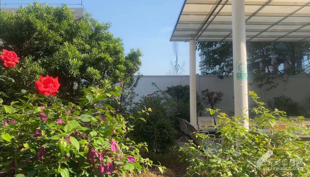 广州正皓居护理院 附图 3