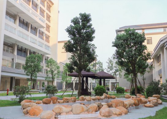 广州市南沙区养老院 官方图片 3