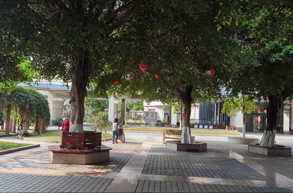 广州市黄埔区老人院 官方图片 3